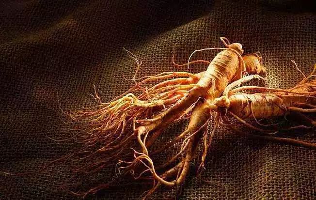 1572336354933961.jpg 1572336354933961.jpg