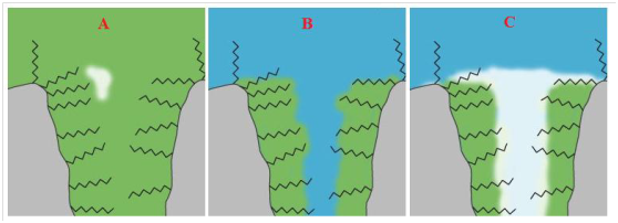 1588993840392307.png 微信图片_20200509111029.png