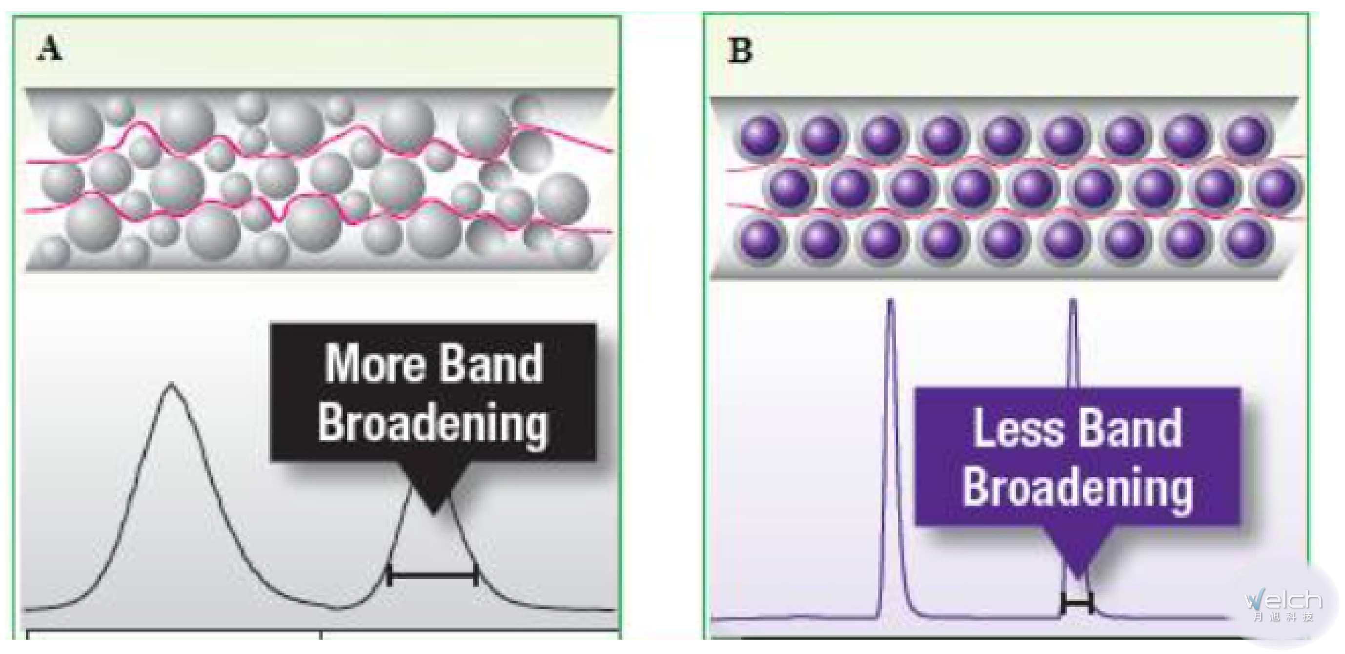 1606876625858742.jpg 月旭水印-01.jpg