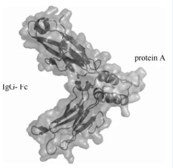 1640668061631405.jpg 1.jpg