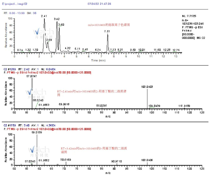 1684723986726634.png 7.png