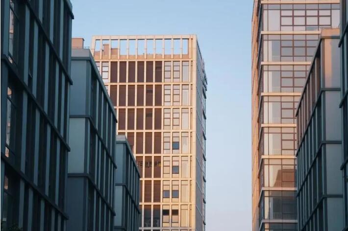 1699947525492365.jpg 1.jpg