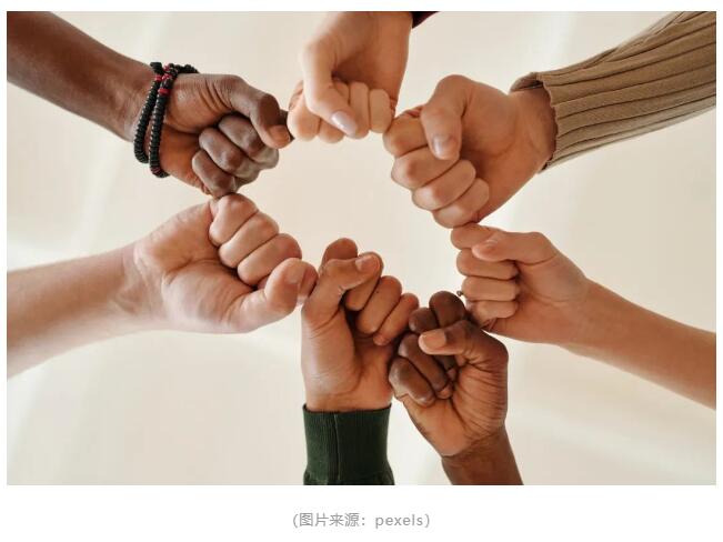 1699947621140308.jpg 9.jpg