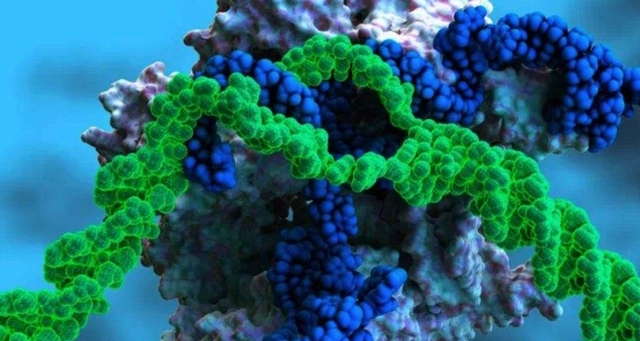 1703743548139725.jpg 5bafa40f4bfbfbedea21deff6a61343faec31f54.webp.jpg