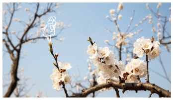 1713836004201288.png 2.png